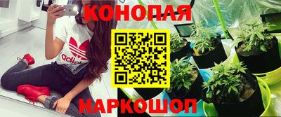 герыч Ярославль